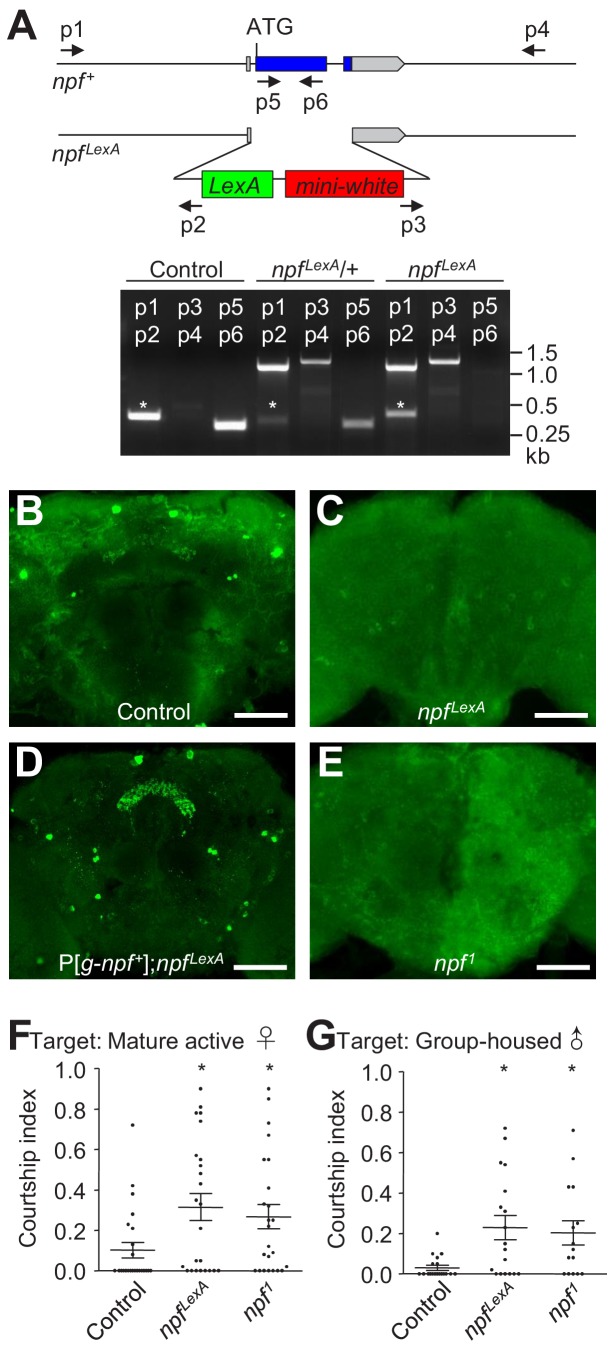 Figure 1—figure supplement 2.