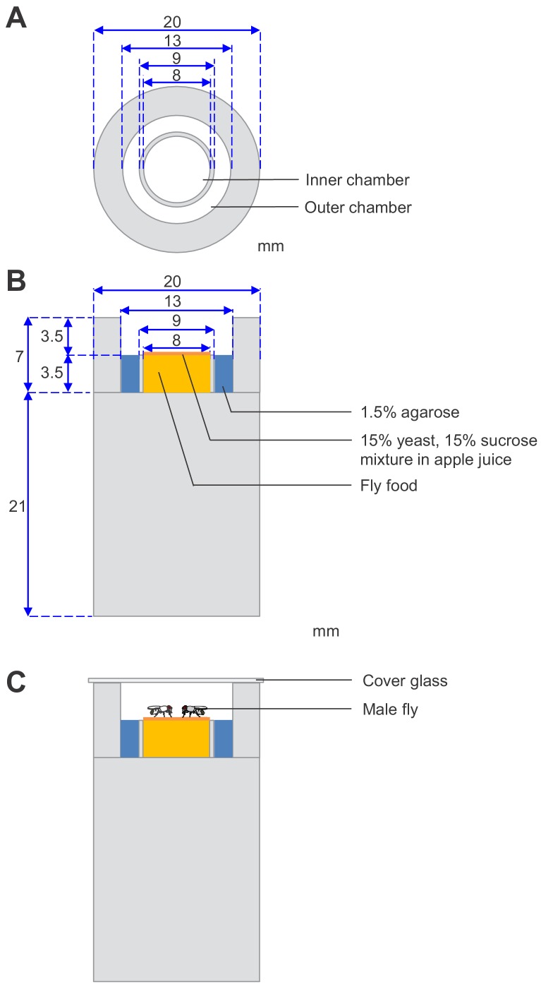 Figure 1—figure supplement 3.