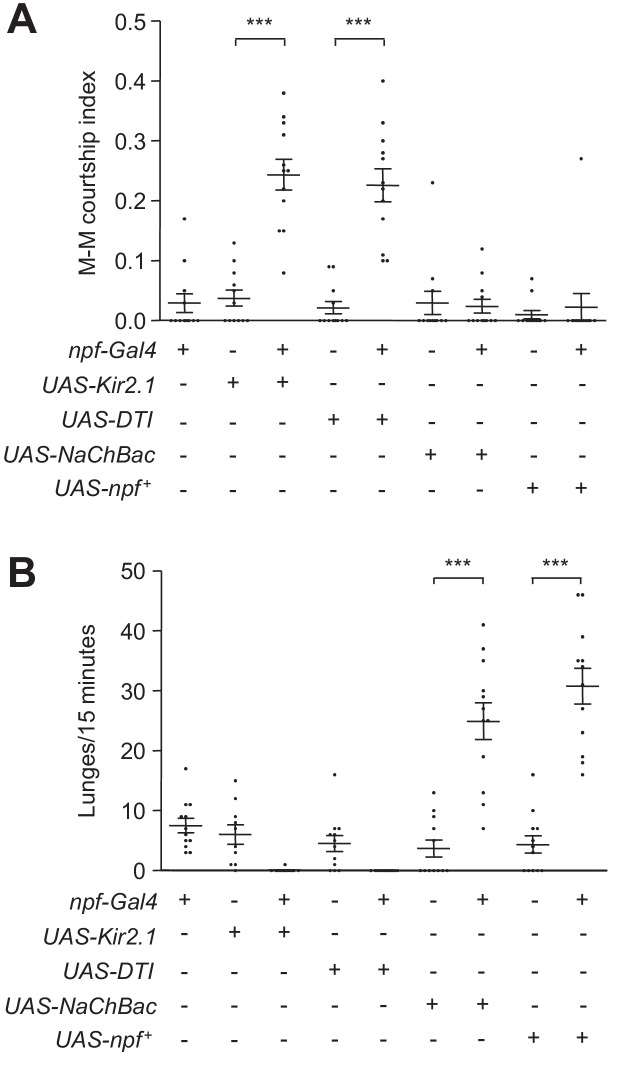 Figure 1—figure supplement 1.