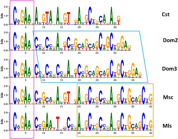 Figure 3 