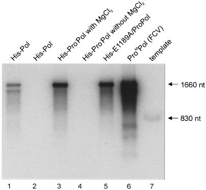 FIG. 5.