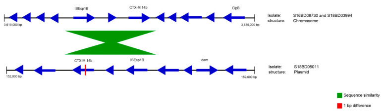 Figure 5