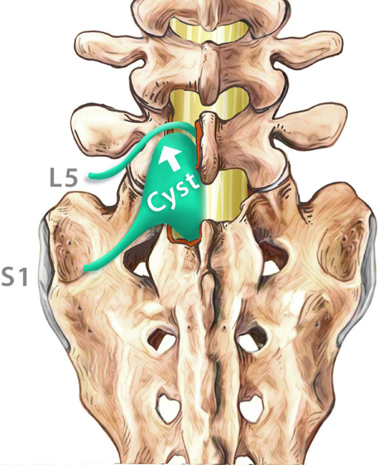 Fig. 5
