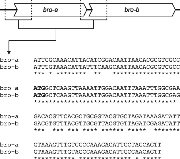 Fig. 4.—