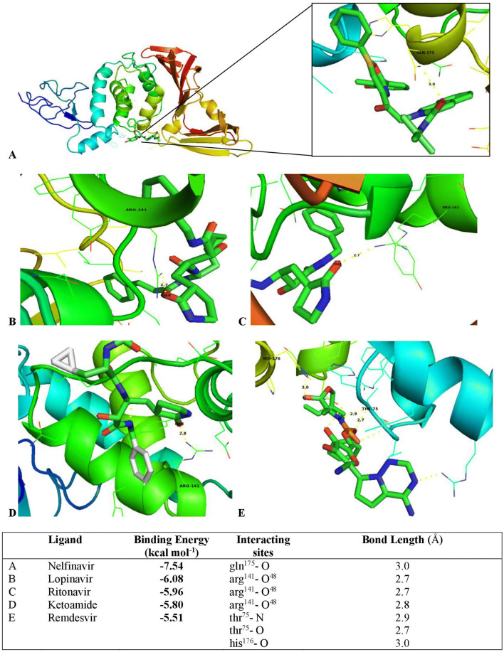 Fig. 1