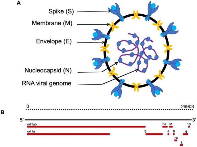 Figure 1