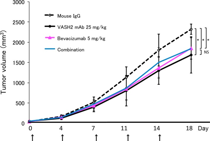 Figure 7