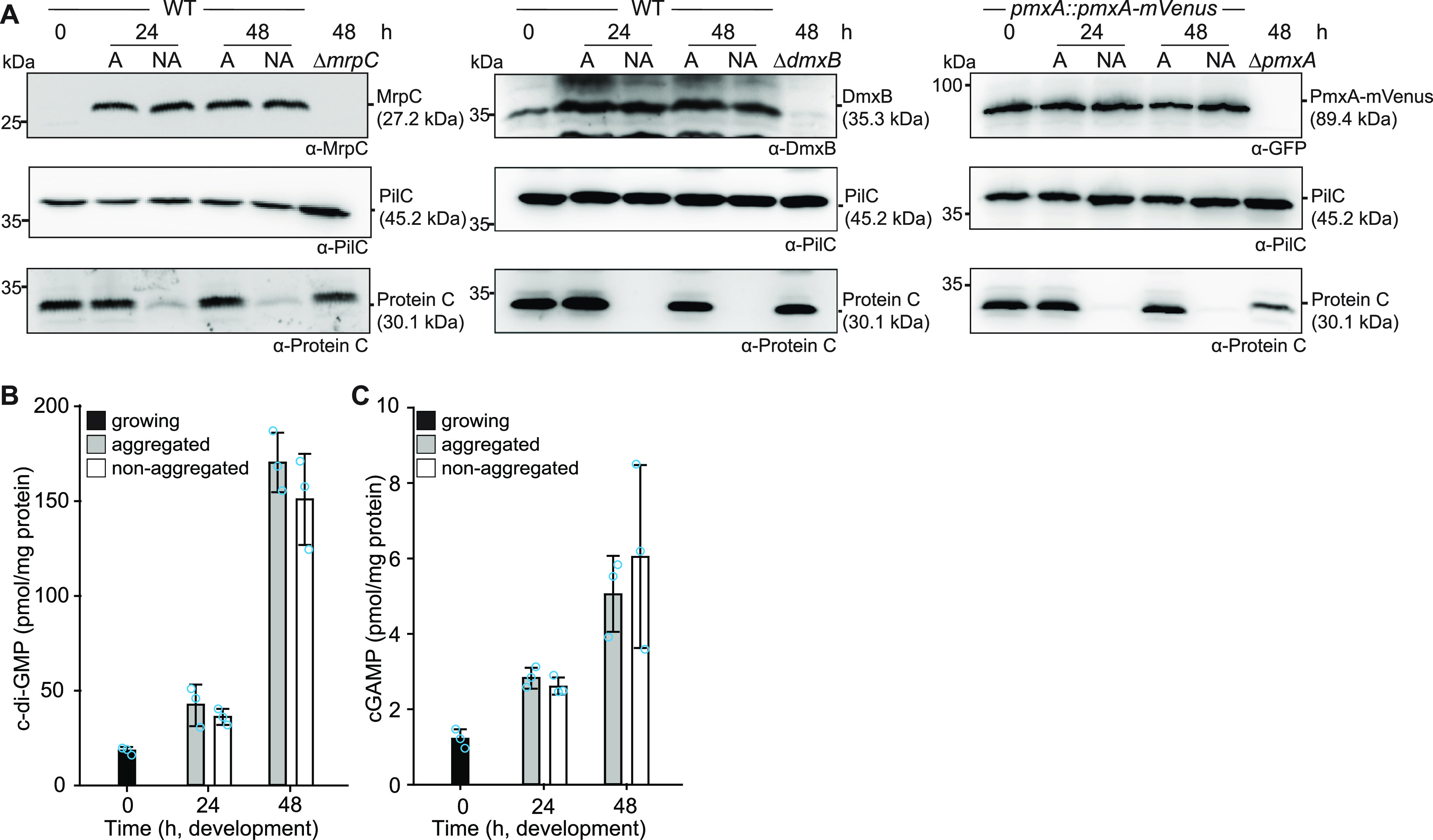 FIG 6