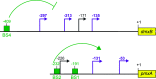 FIG 7