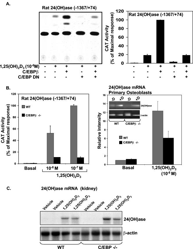 FIG.3.