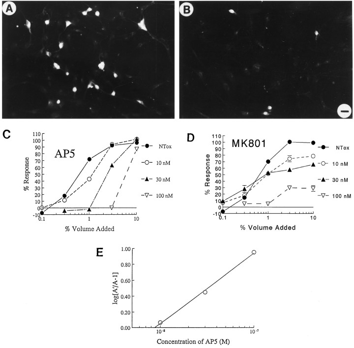 Fig. 9.