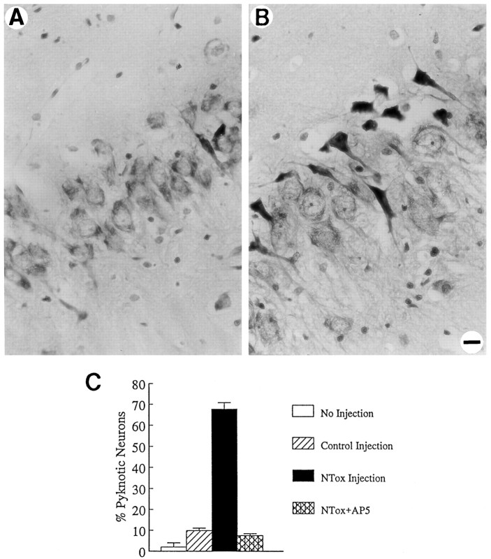 Fig. 11.