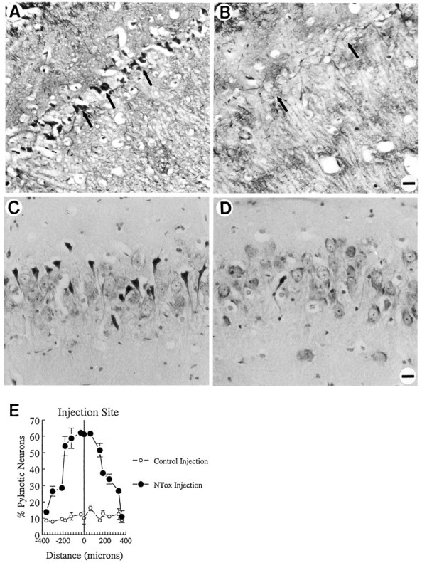 Fig. 10.