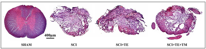 Figure 15.