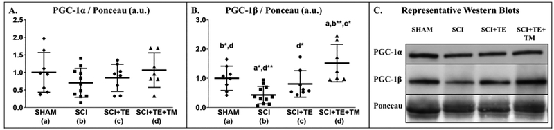 Figure 10 A–C.