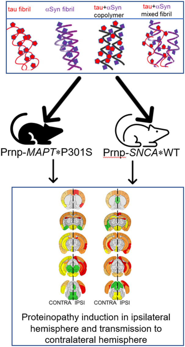 Graphical Abstract