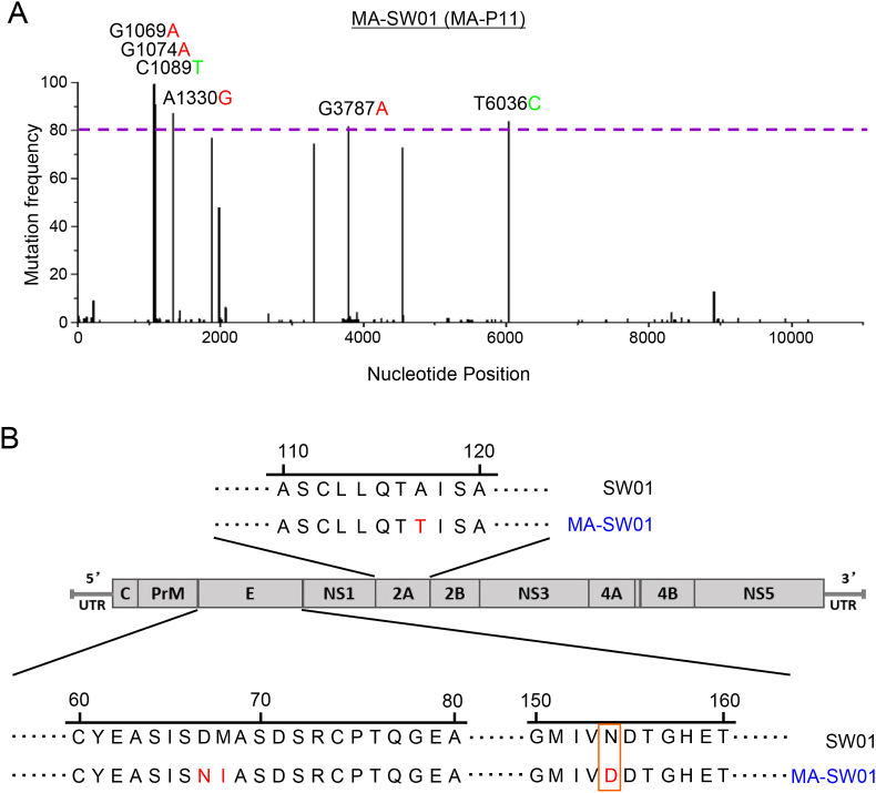 Fig. 3