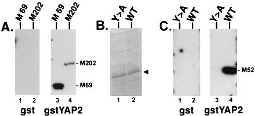 FIG. 5