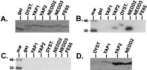 FIG. 6