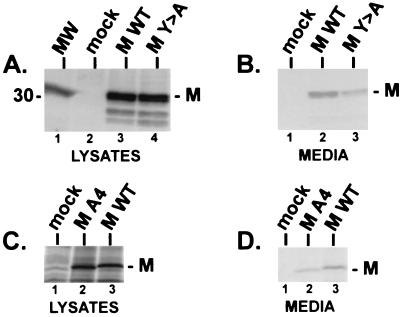 FIG. 7