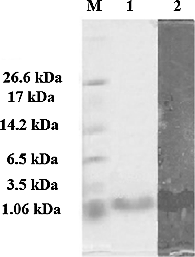 Fig. 2