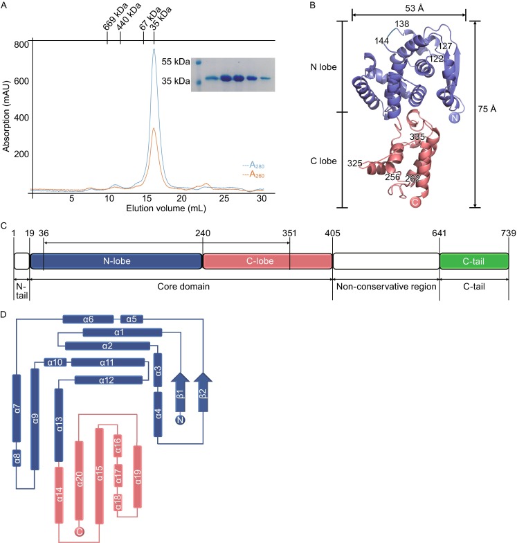 Figure 1