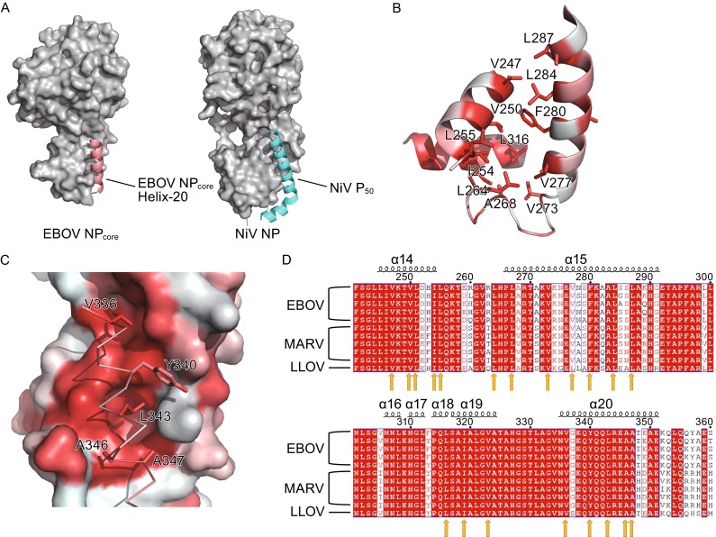 Figure 4