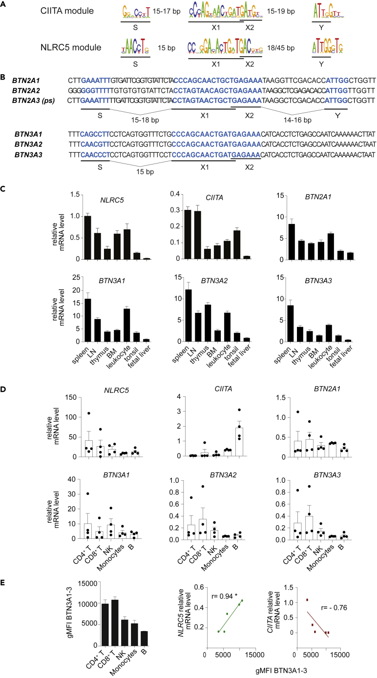 Figure 1