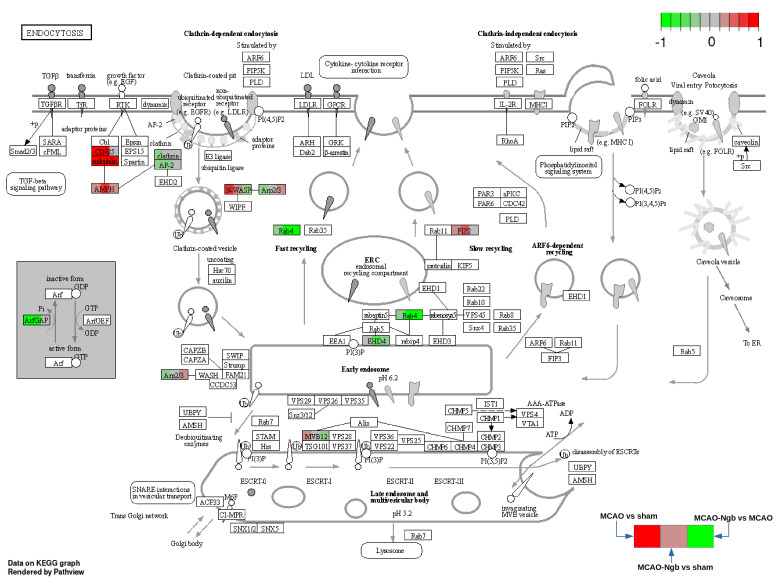 Figure 13