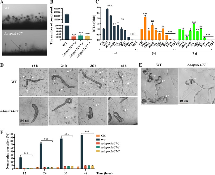 FIG 3