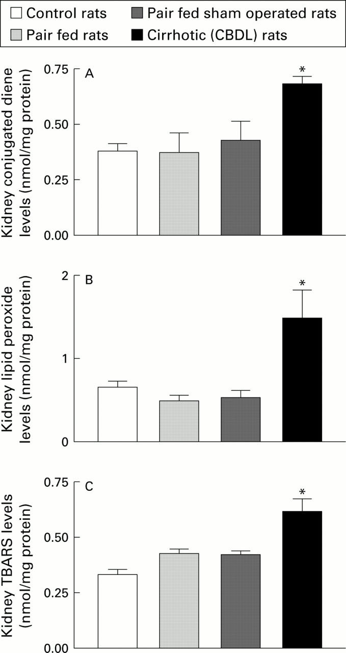 Figure 1  