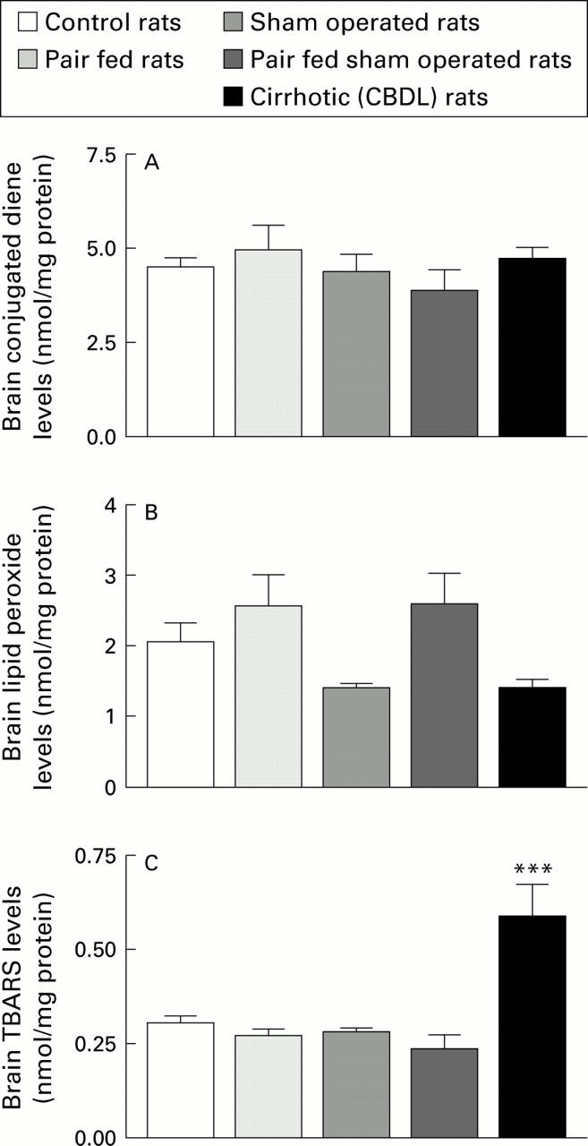 Figure 2  