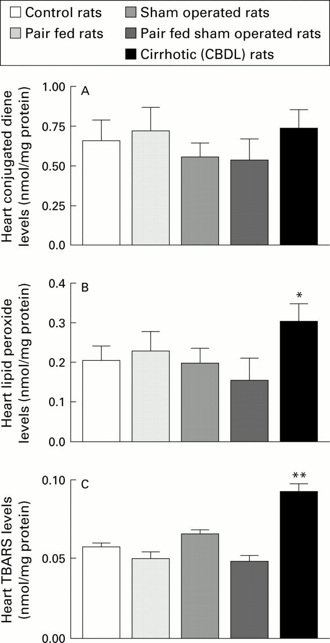 Figure 3  