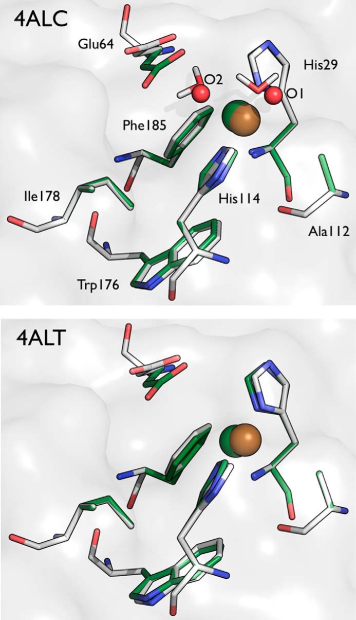 FIGURE 4.