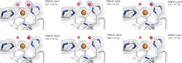 FIGURE 2.