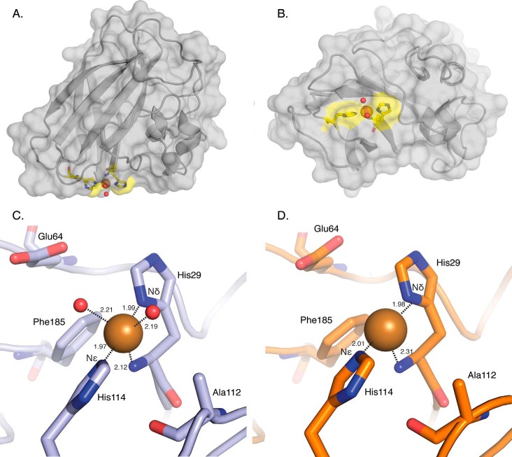 FIGURE 1.