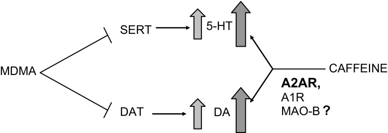 Fig. 8