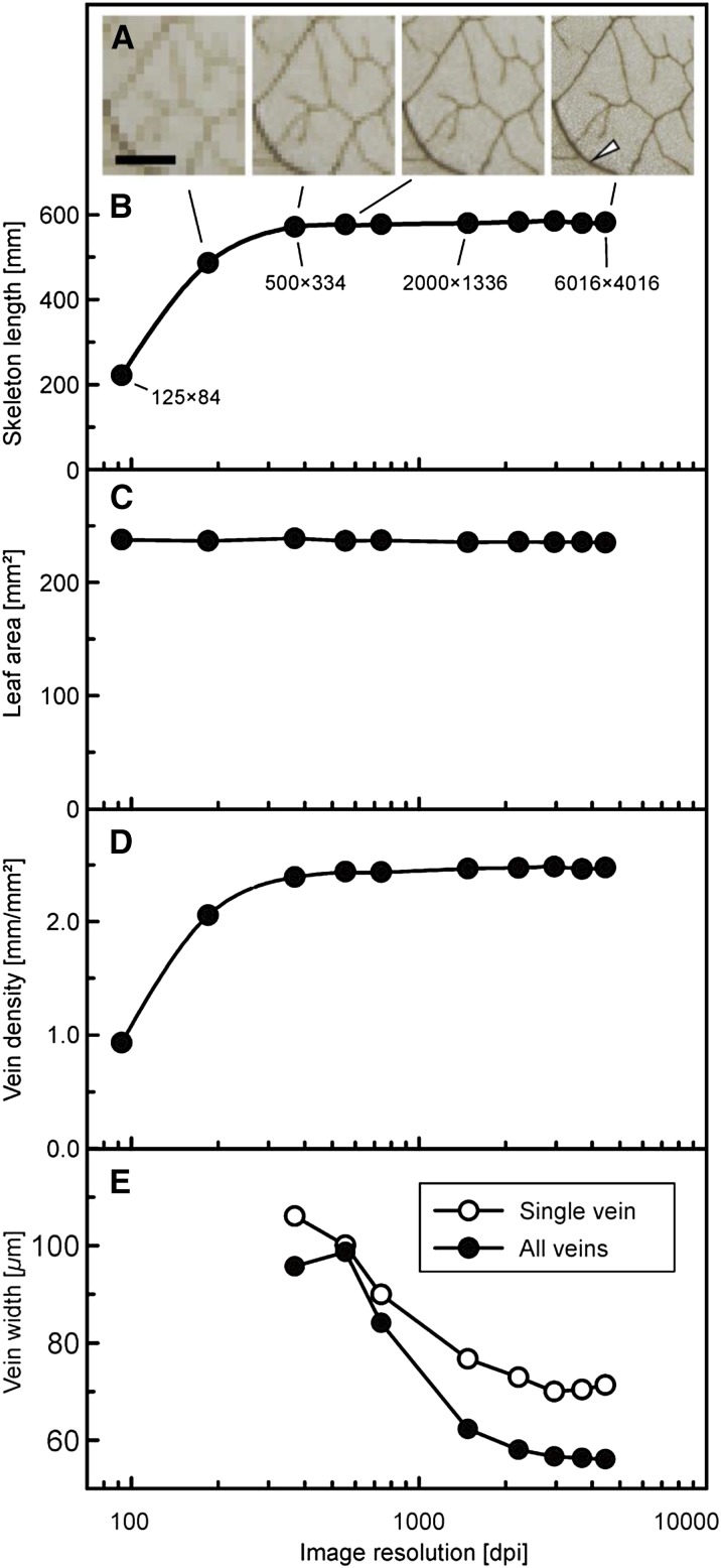 Figure 7.