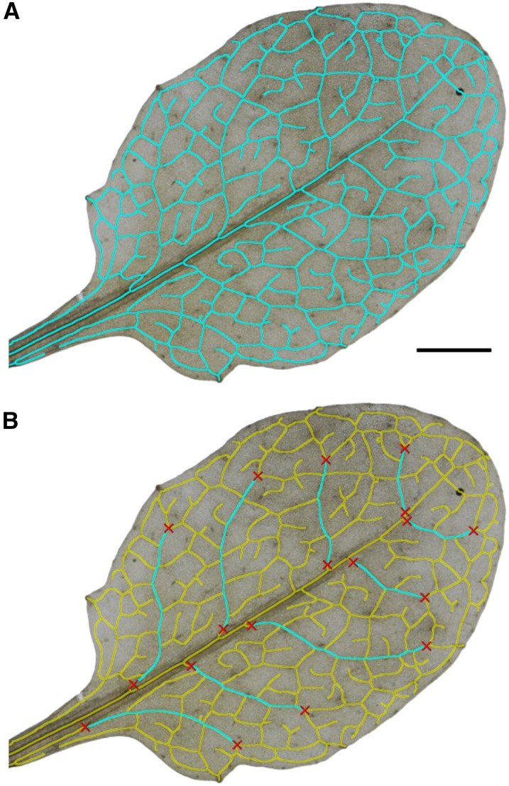 Figure 3.