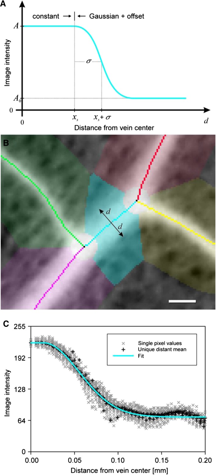 Figure 10.