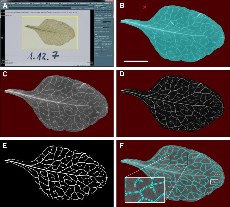 Figure 1.