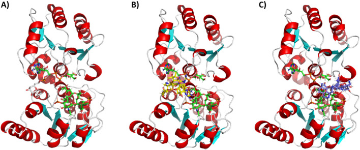 Figure 6