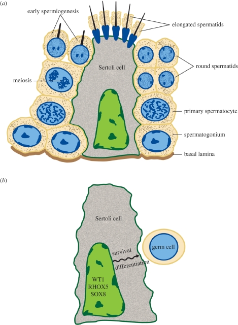 Figure 1.