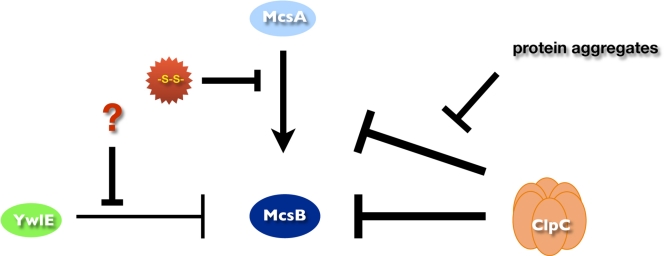 Fig. 5.