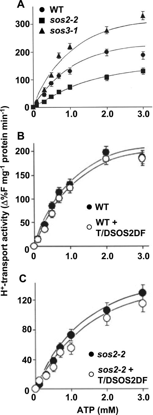 FIG. 6.