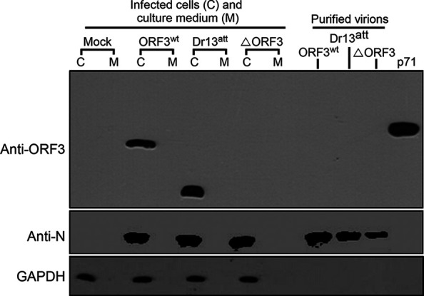 FIG 9