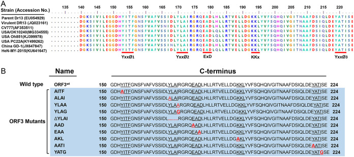 FIG 6