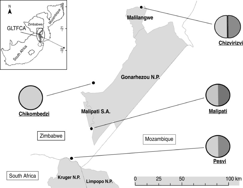 Fig. 1.