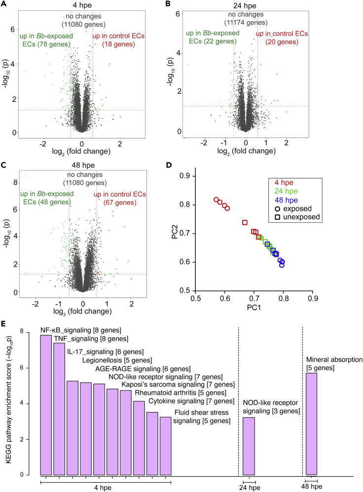 Figure 6