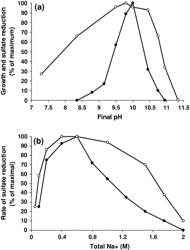 Fig. 5